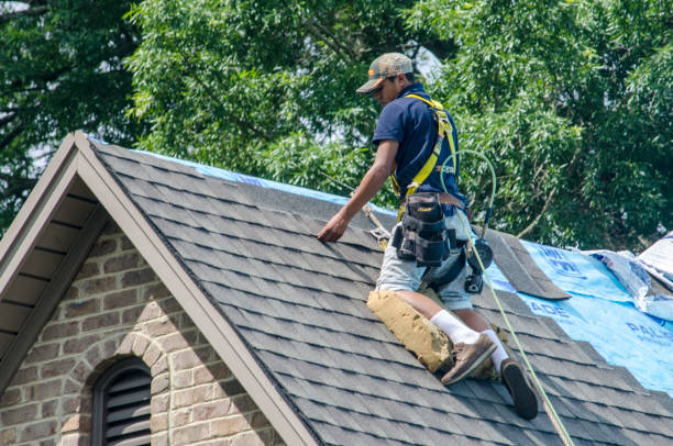 Quick and Trustworthy Emergency Roof Repair Services in Sulphur Springs, AR